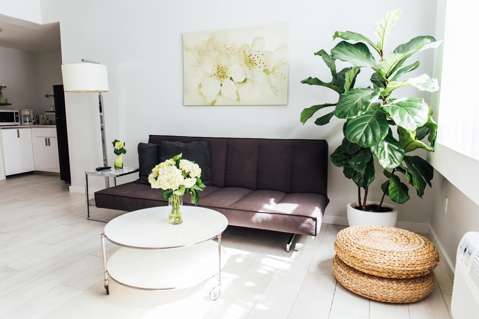 One Bedroom Apartment Accessible
