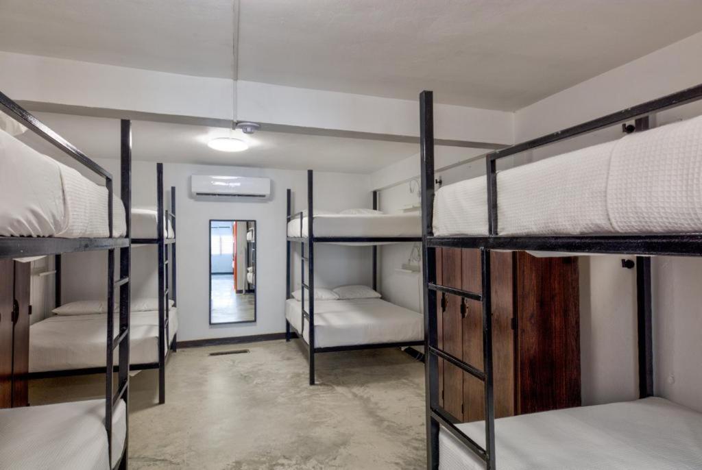 Bed 8-Bed Female Dormitory