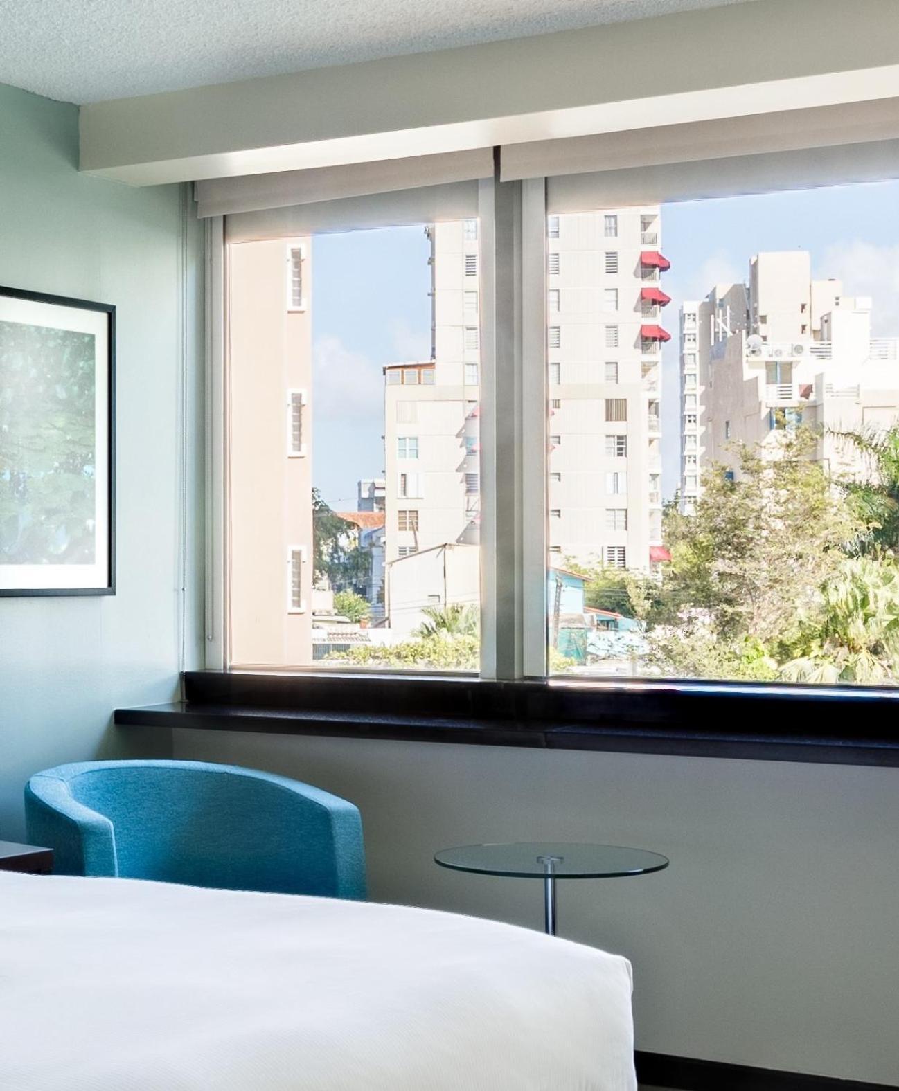 King Room Garden View