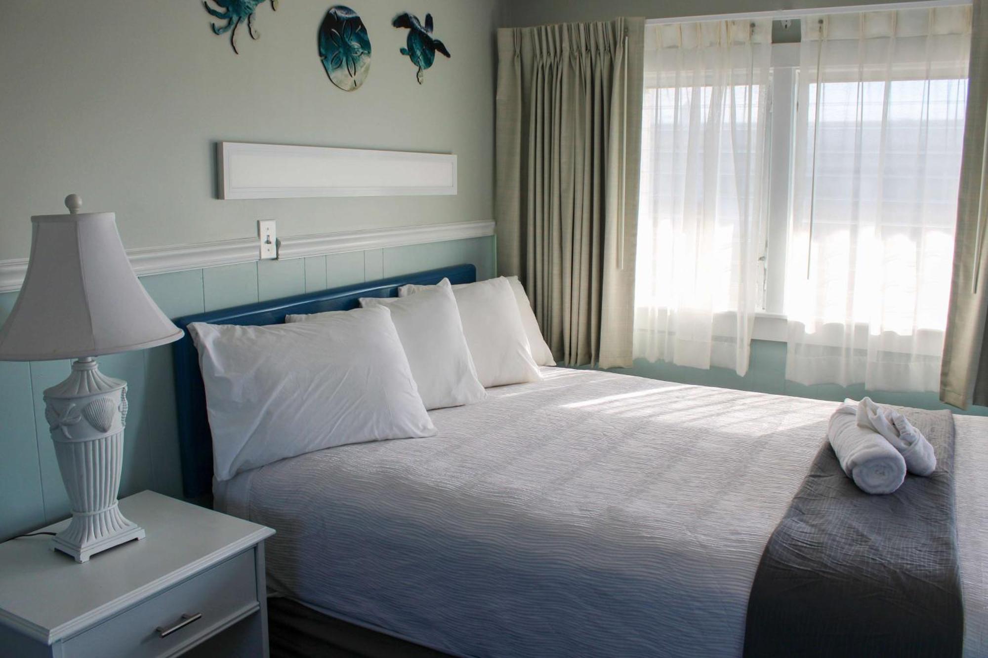 One Queen | Pet-friendly