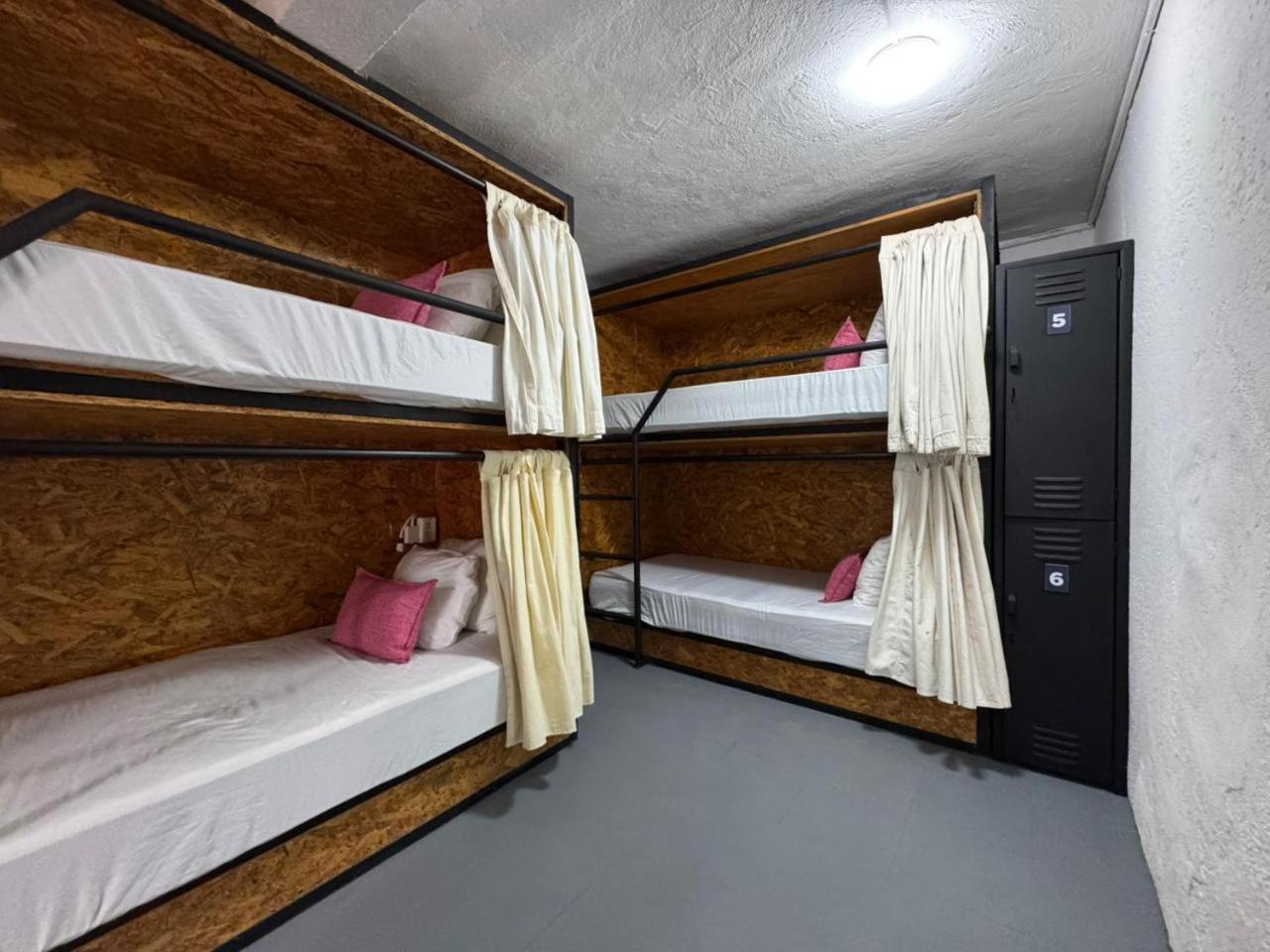 Bed 6-Bed Female Dormitory Room