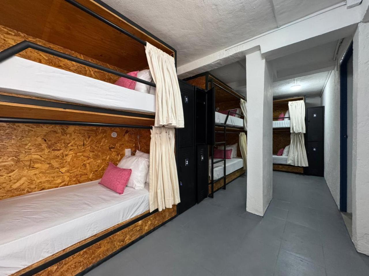 Bed 6-Bed Female Dormitory Room