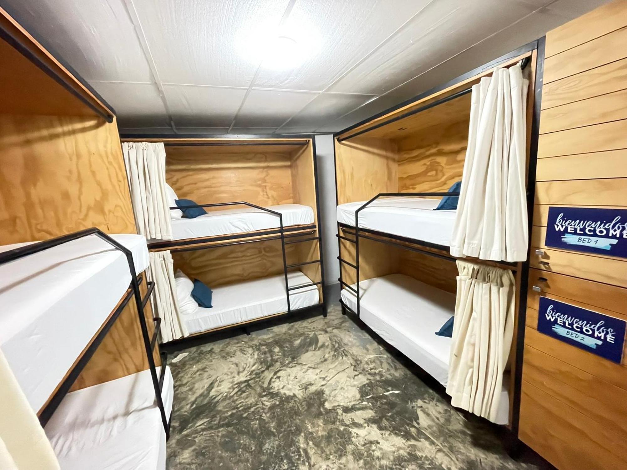 Bed 6-Bed Mixed Dormitory Room