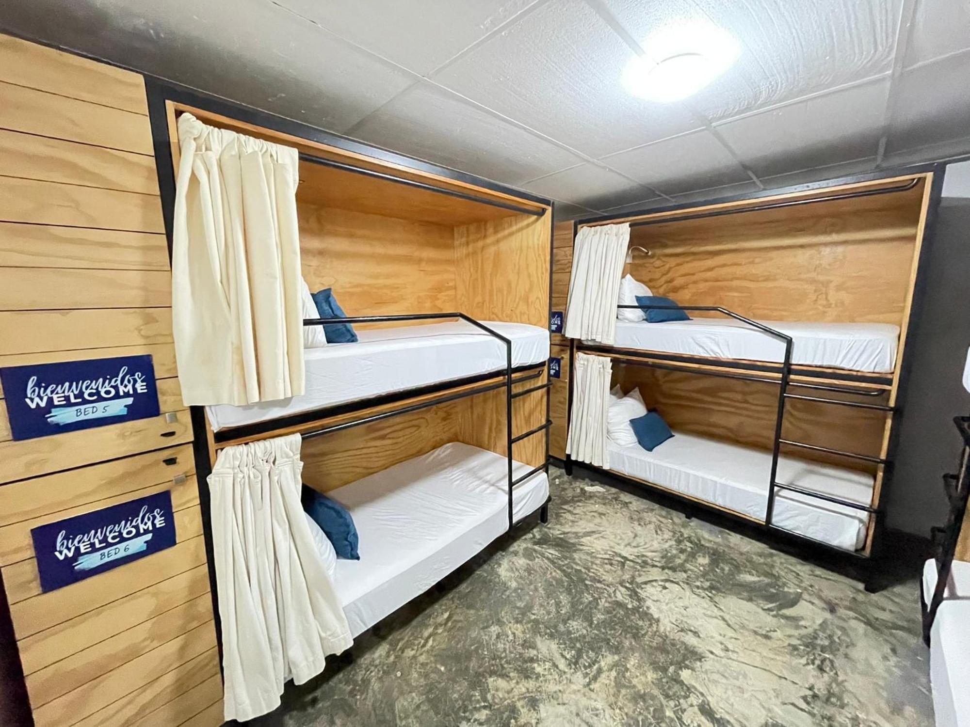 Bed 6-Bed Mixed Dormitory Room