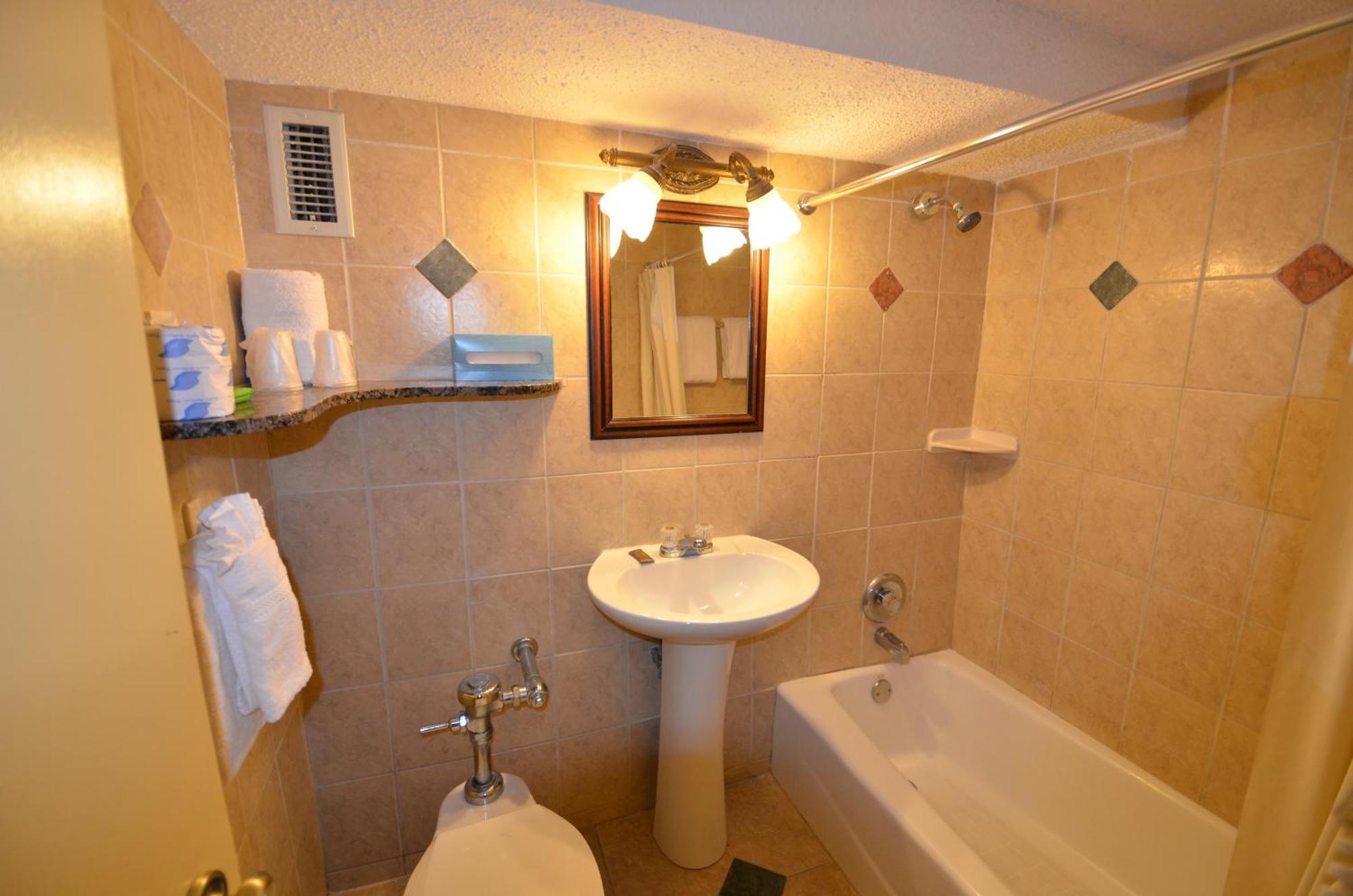 King Suite with Sofa Bed