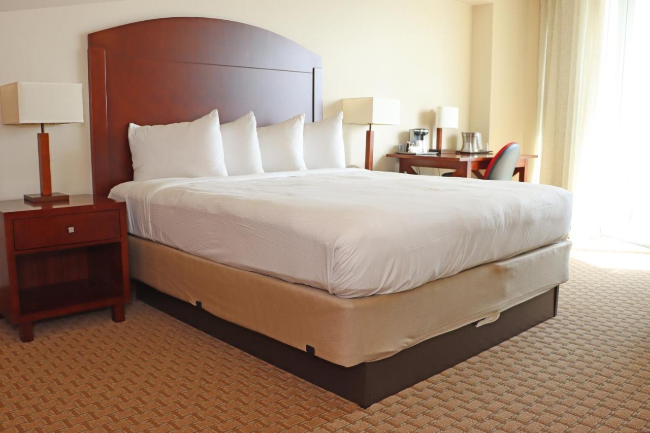 Deluxe Studio Suite