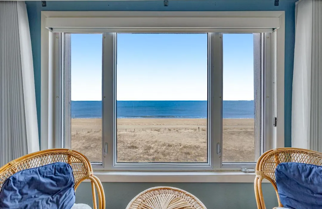 Salty Sands-1