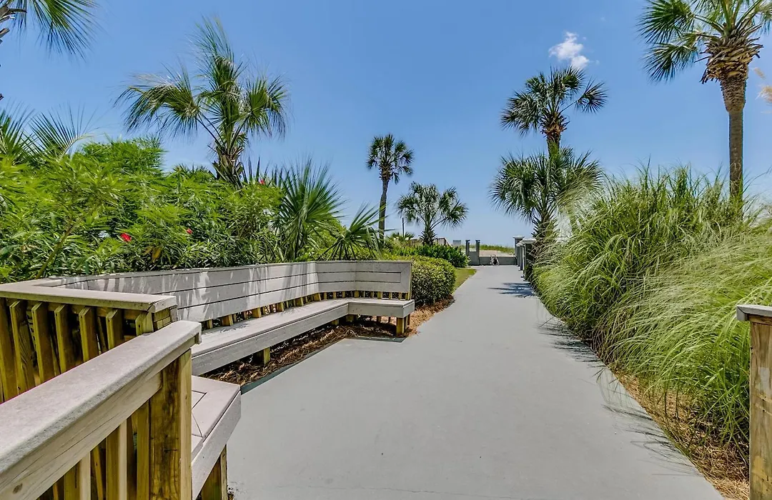 Carolina Dunes 504-1