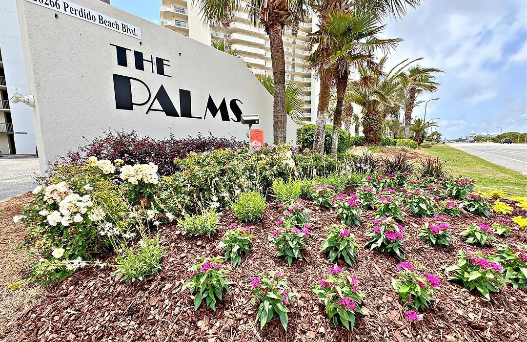 The Palms-1