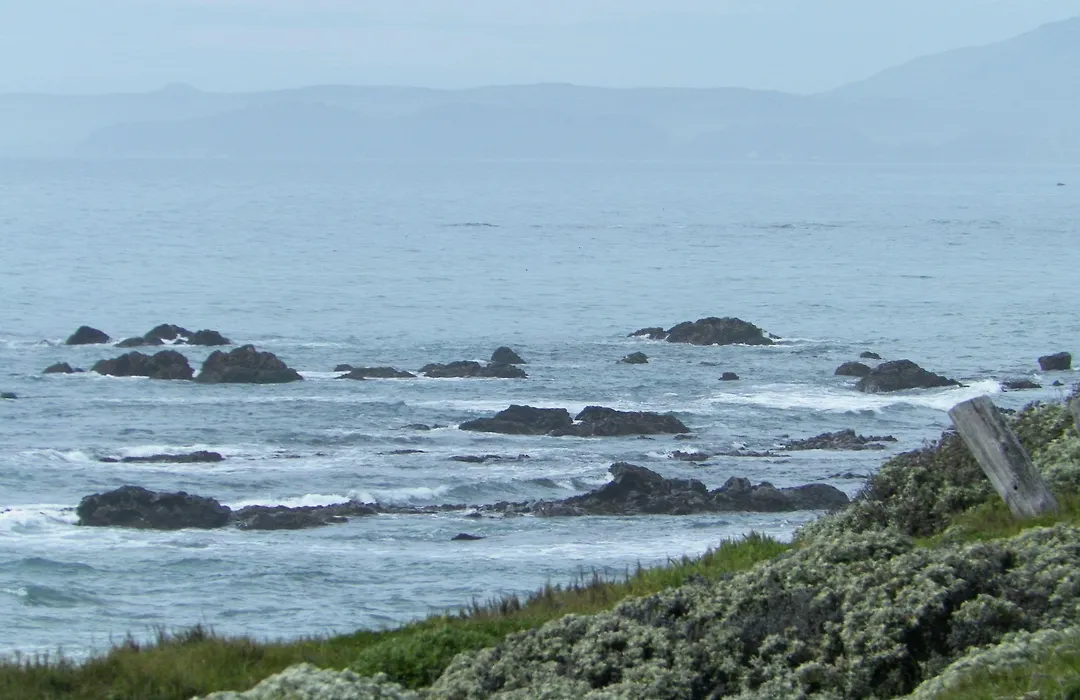 Sea Otter Inn-1