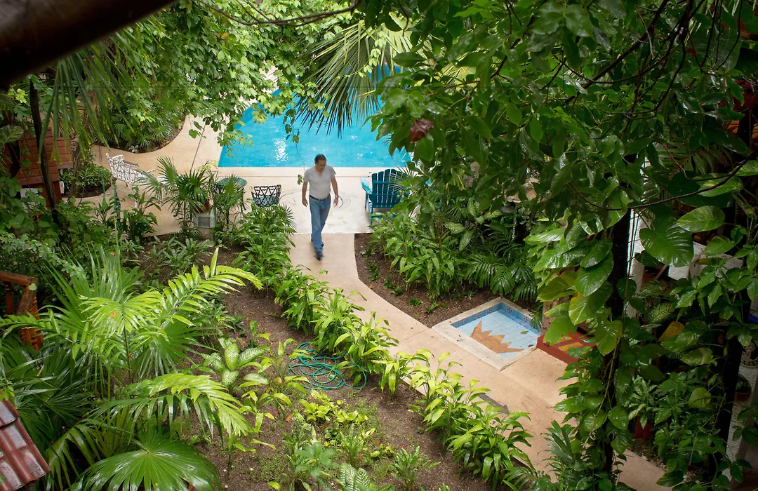 Eco-Hotel El Rey Del Caribe-1