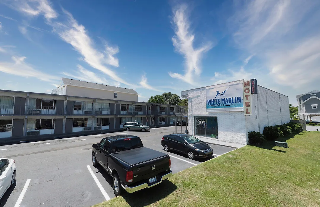 White Marlin Inn - Virginia Beach-1