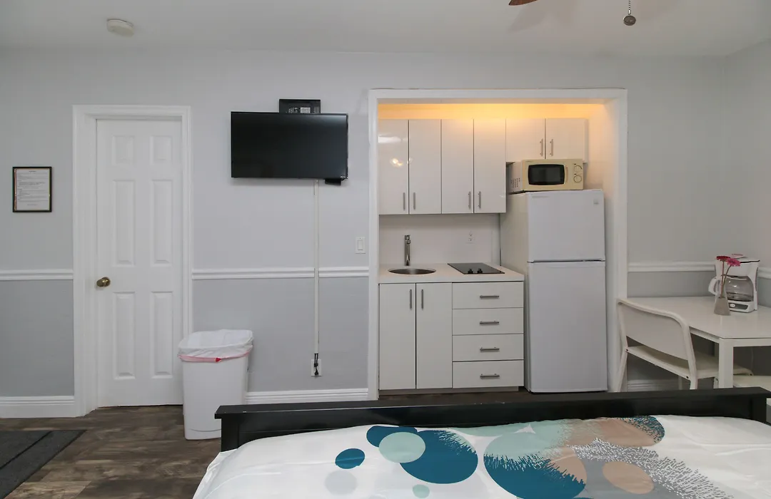 The Dolphin Hollywood-1