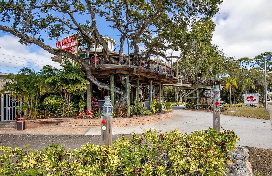 Tradewinds 503-1