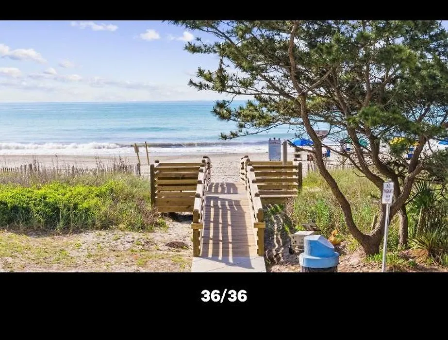 "Seas The Day" At St Clements-1
