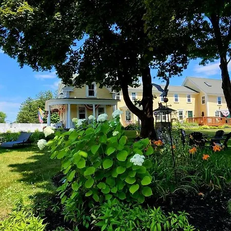 Elmere House Bed & Breakfast-3