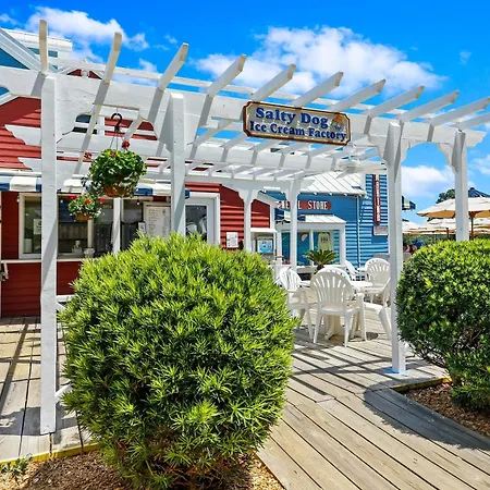 30 Ruddy Turnstone | Ruddy Retreat-3