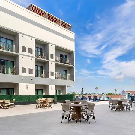 Cambria Hotel St Petersburg-Madeira Beach Marina-3