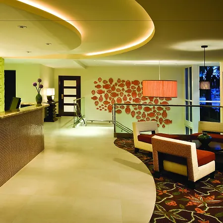 Residence Inn By Marriott St. Petersburg Treasure Island-3