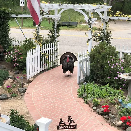 Olallieberry Inn Bed And Breakfast-2