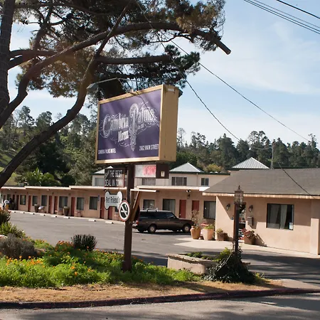 Cambria Palms Motel-2
