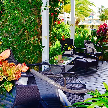 Sea Turtle Inn-2