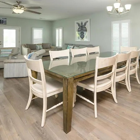 Palmetto Paradise-2