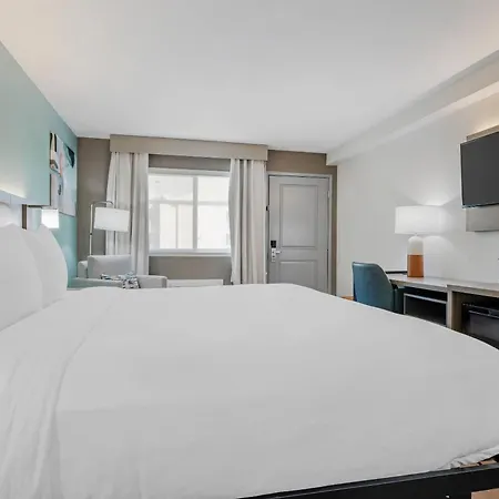 Comfort Inn Sea World Area-2