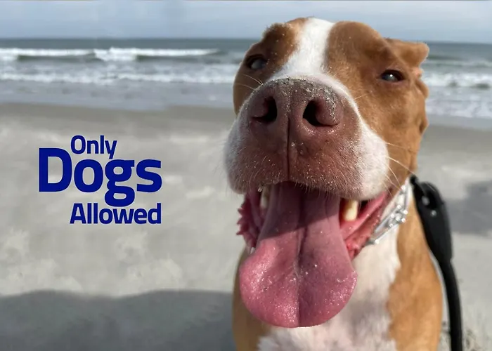 Oceanfront Carolina Beach House - Dogs Allowed -Near Boardwalk