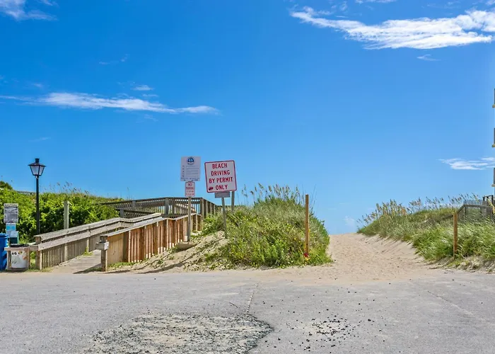 Dl303 - Herpy Nags Head