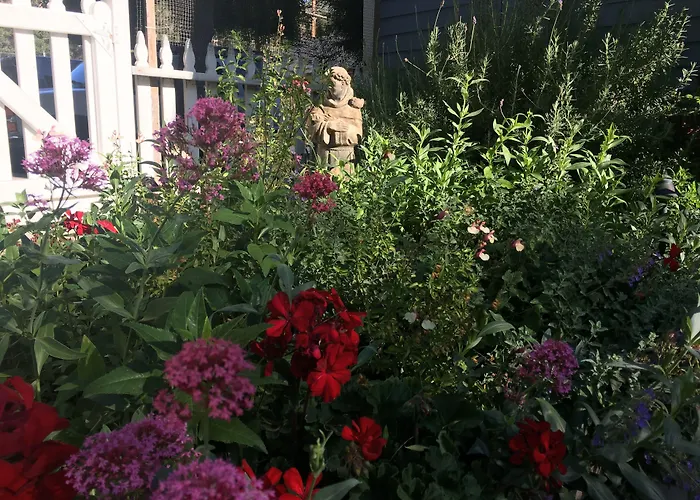 Olallieberry Inn Bed And Breakfast Cambria