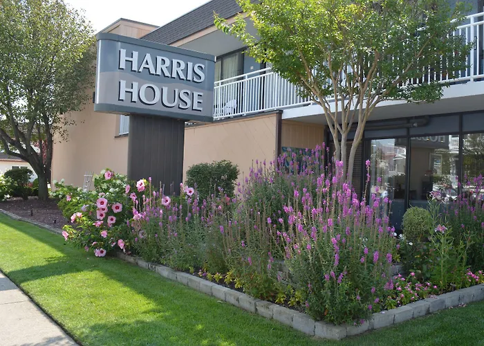 Harris House By The Beach Ocean City