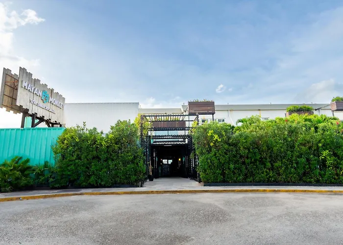 Mayan Monkey Cancun - Social Hostel (Adults Only)