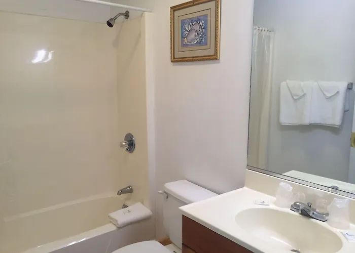 Ocean Cove Motel Virginia Beach